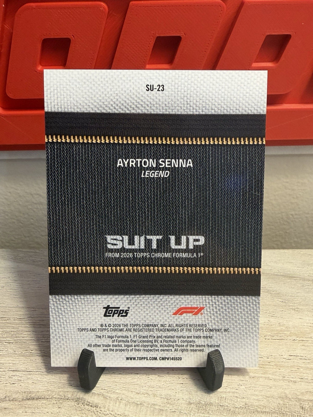 Ayrton Senna Suit Up photo 6